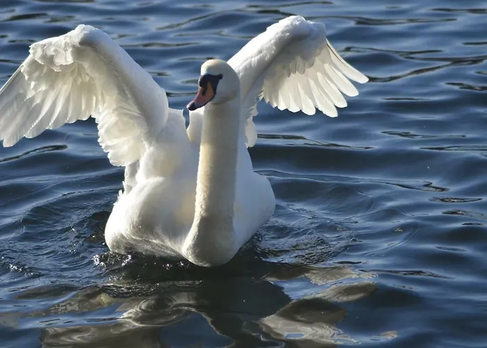 All-in-one برلين